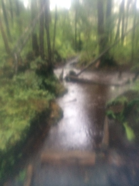 From the run in the rain, taken with my phone through a ziplock bag